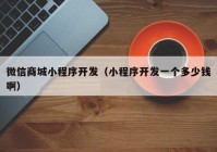 微信商城小程序開發(fā)（小程序開發(fā)一個多少錢?。? /></a>
		</div>
		<div   id=