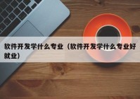 軟件開(kāi)發(fā)學(xué)什么專業(yè)（軟件開(kāi)發(fā)學(xué)什么專業(yè)好就業(yè)）