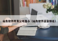山東軟件開發(fā)公司雖?。ㄉ綎|軟件企業(yè)排名）