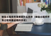 微信小程序開發(fā)用到什么技術（微信小程序開發(fā)過程需要運用的技術）