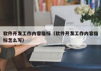 軟件開(kāi)發(fā)工作內(nèi)容指標(biāo)（軟件開(kāi)發(fā)工作內(nèi)容指標(biāo)怎么寫(xiě)）
