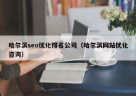 哈爾濱seo優(yōu)化排名公司（哈爾濱網(wǎng)站優(yōu)化咨詢(xún)）